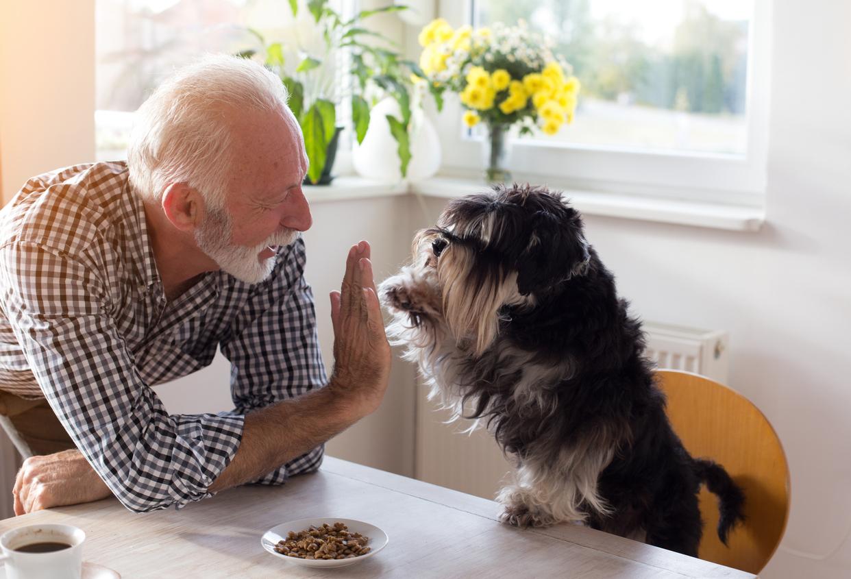 Top 3 Health Benefits of Pet Therapy for Seniors