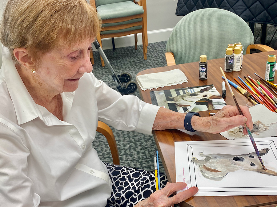 The Virginian Helps To Draw New Hope For Senior Dogs - The Virginian